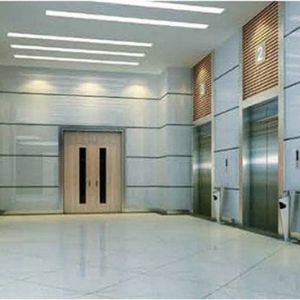 乘(chéng)客電梯